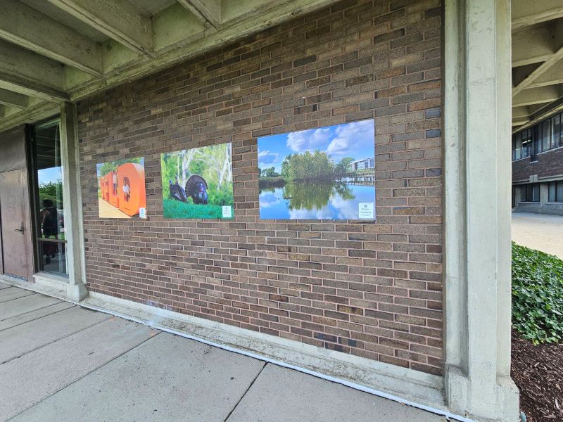 Wall Graphics
